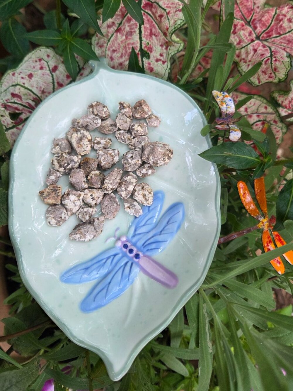 UPTHRIFT Bee Water Bowl (Rocks Not Included.)